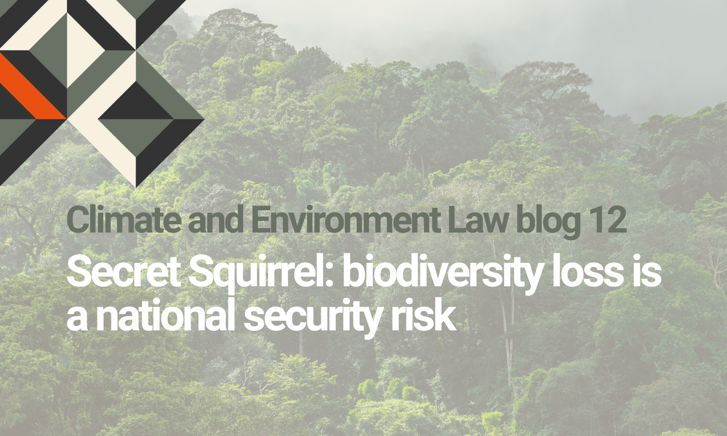 Climate and Environment Law blog 12